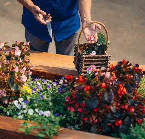 Chef's Herb Garden: From Garden to Table slide 1