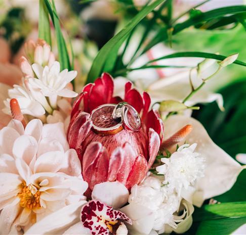 Wedding Gallery slide 3