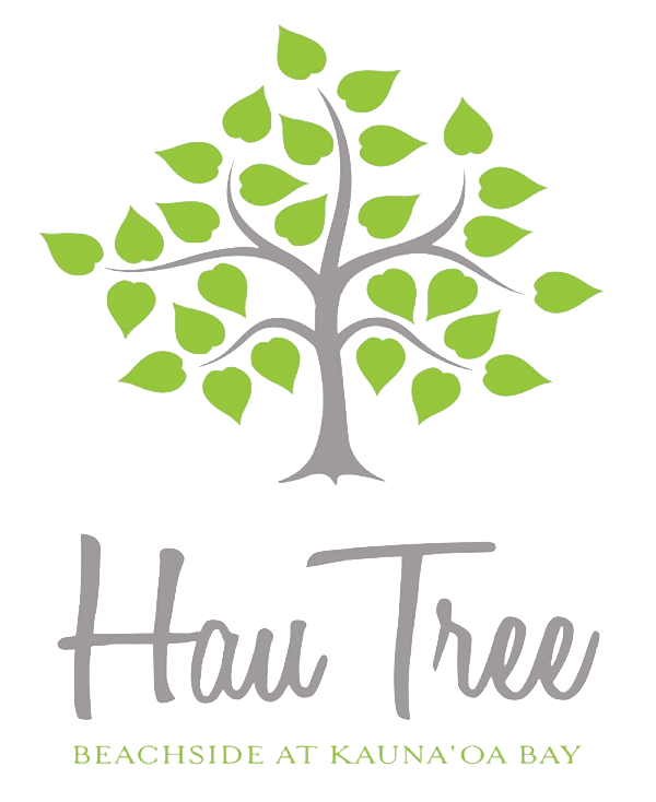 Hau Tree logo