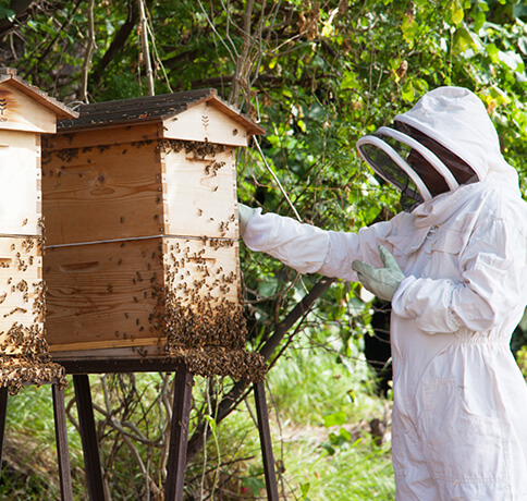 SUSTAINABLE LOCAL SOURCING