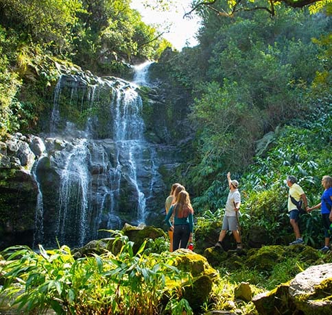 HAWAII FOREST & TRAIL