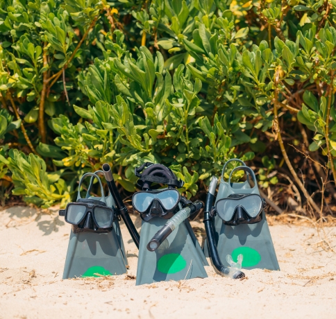 Westin Hapuna Beach Hale 