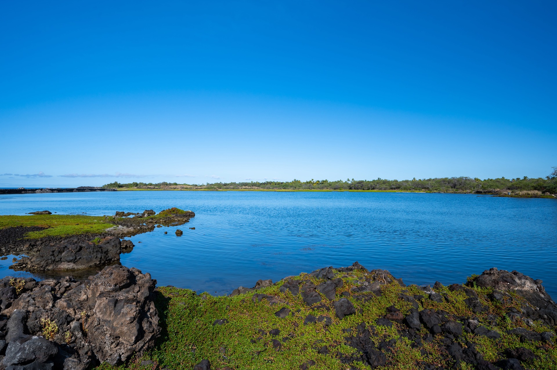 Kaloko Fishpond