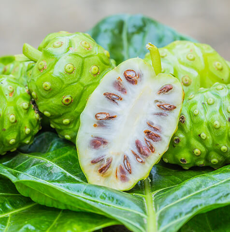 Noni