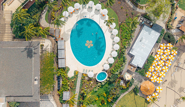 Family Pool aerial with yellow beach umbrellas and palm trees