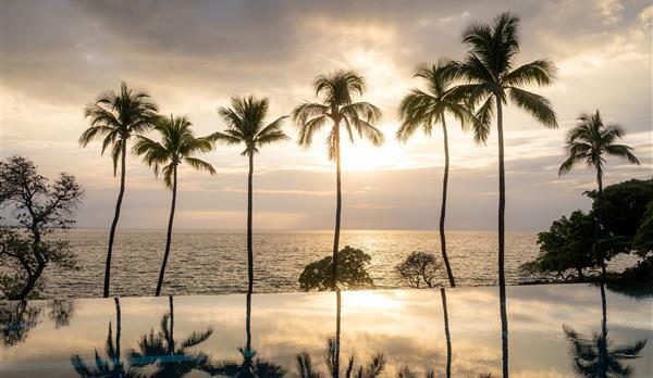 Family Pool aerial with yellow beach umbrellas and palm trees