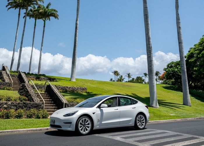 Tesla on a grassy area with palm trees