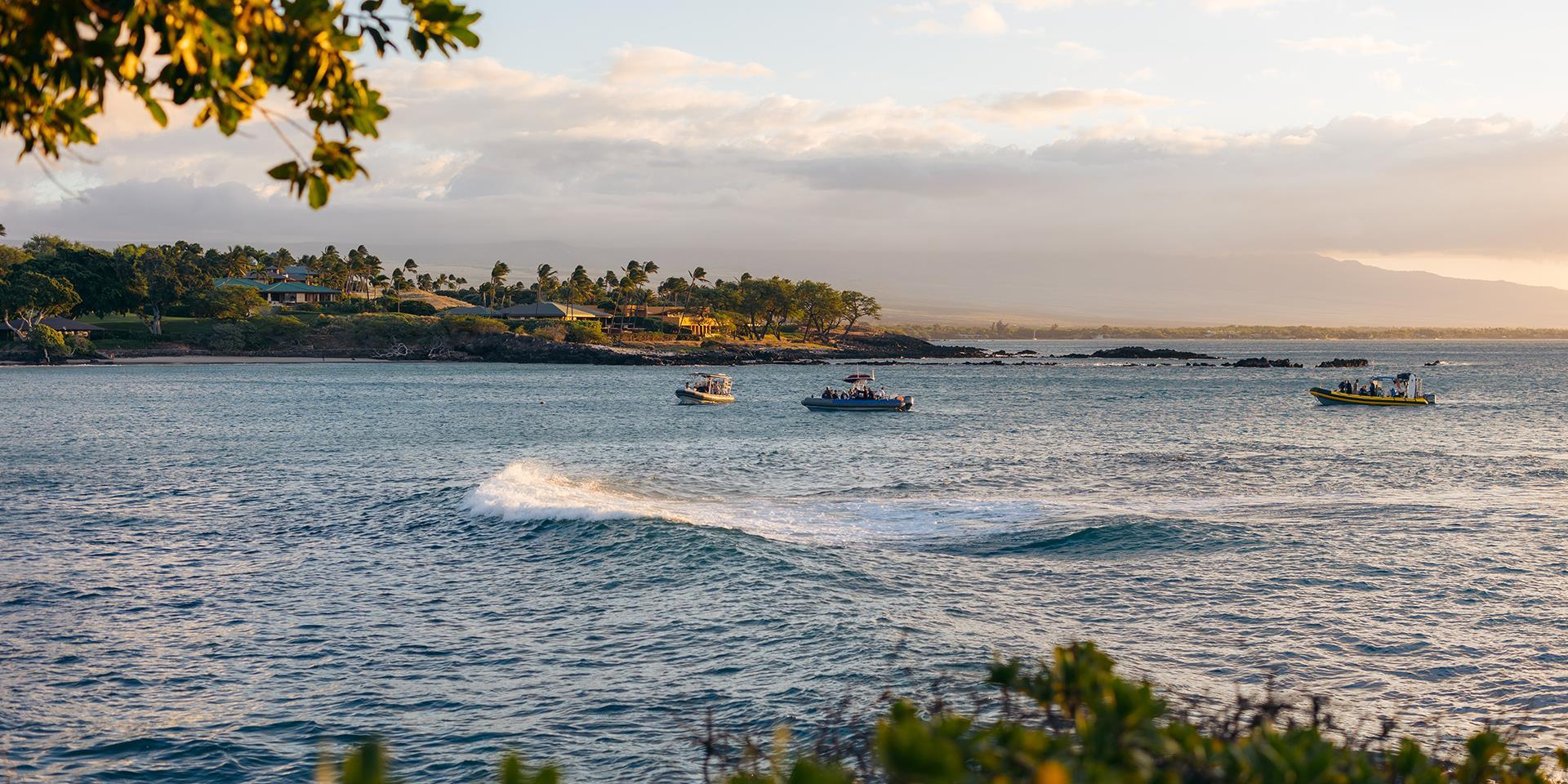 Boats out on the water