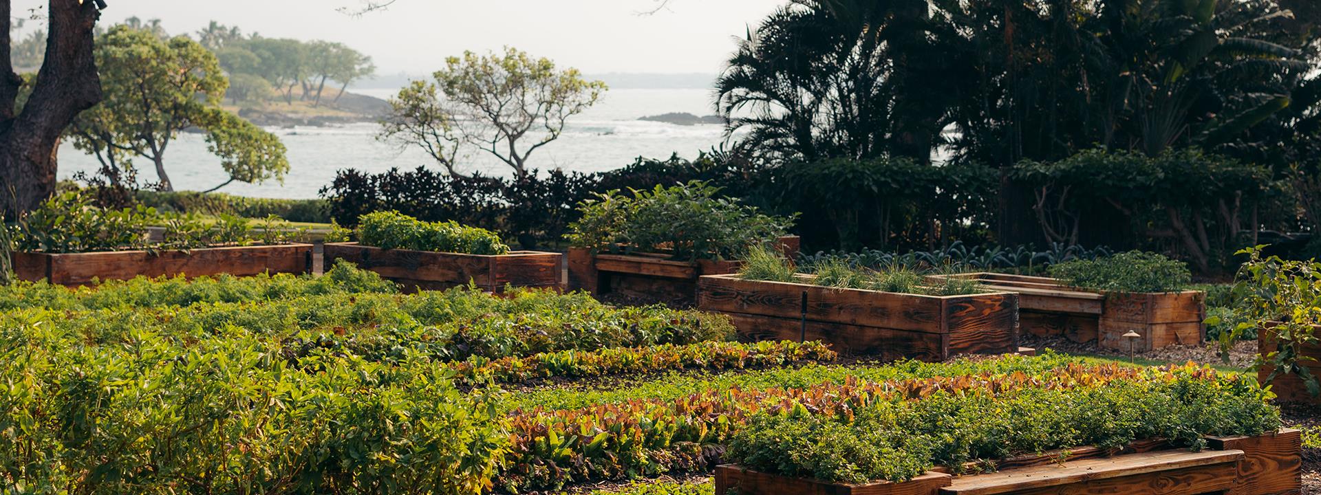 A photo of the gardens