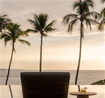 Art of Renewal Package