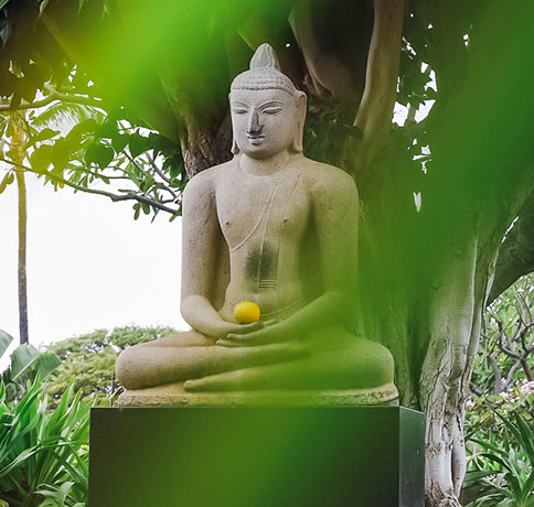 THE BUDDHA SHAKYAMUNI Podcast #2